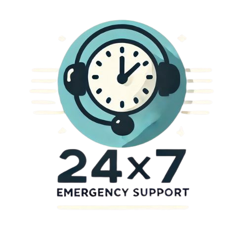 24x7 UPS emergency support service
